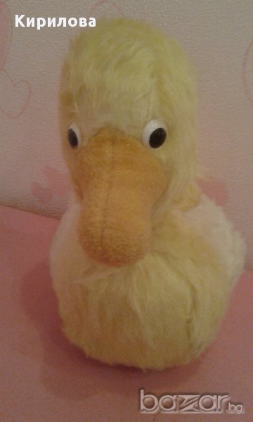 плюшено пате , снимка 1