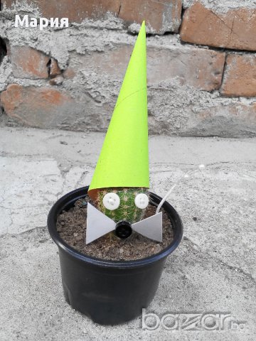 Коледен подарък-кактус с декорация, снимка 6 - Стайни растения - 11177812