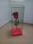 Роза за за свети валентин или 8 март, снимка 4