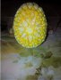 Великденски яйца от стирофом с квилинг ленти, снимка 4