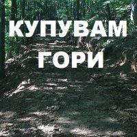 Купувам гори в областите: Велико Търново, Търговище, Габрово и Сливен