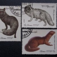 Пощенски марки от различни страни, снимка 14 - Филателия - 24330972