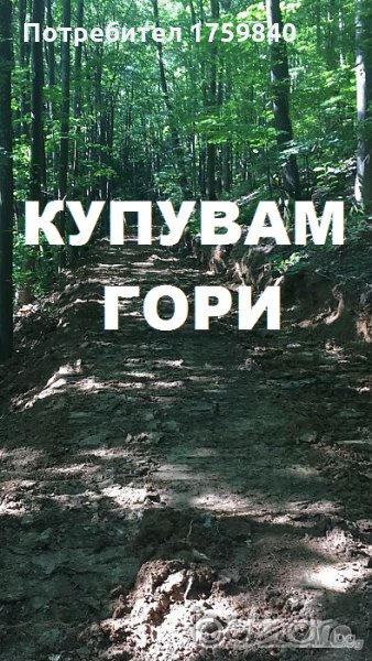 Купувам гори в областите: Велико Търново, Търговище, Габрово и Сливен, снимка 1