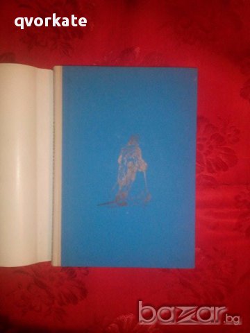 Амундсен-Последният викинг-Едуар Калик, снимка 2 - Художествена литература - 17262883