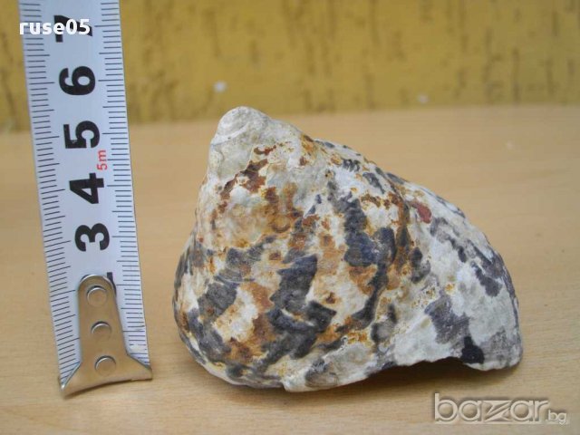 Раковина - 10, снимка 4 - Други ценни предмети - 14605486