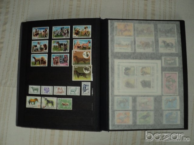 Пощенски марки - България 