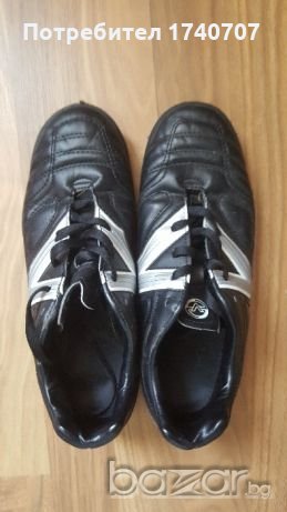 Стоножки , снимка 1