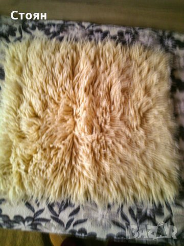 малко губерче за 10 лева