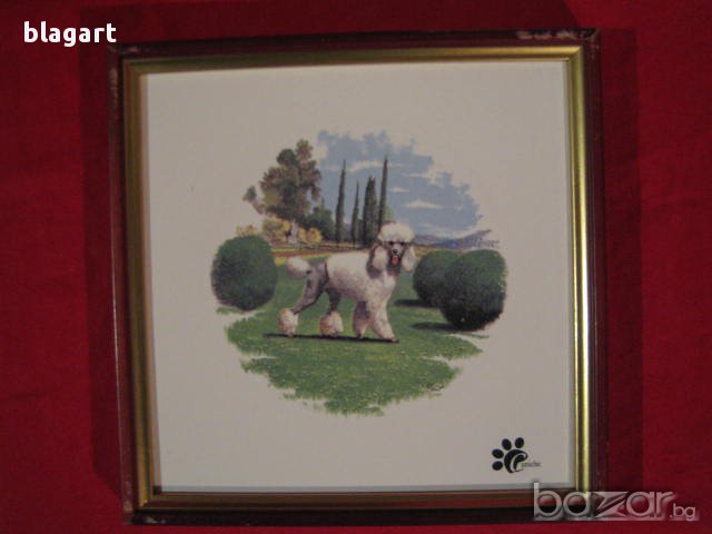 Картини-кучета-порцелан Англия, снимка 2 - Антикварни и старинни предмети - 12825052