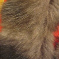 Нова яка - лента от естествена кожа, косъм от кафява лисца - 3 , снимка 3 - Палта, манта - 23923537