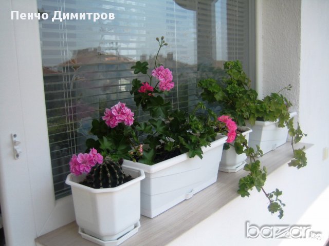 Нощувки в Хисаря, снимка 15 - Етаж от къща - 15021050