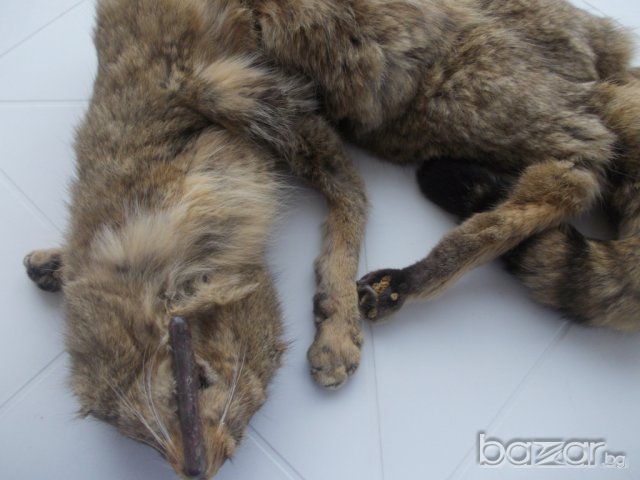 Красива пухкава яка от енот, снимка 4 - Шапки - 7357895