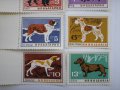 български пощенски марки - кучета 1964, снимка 3