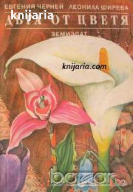 Дъга от цветя , снимка 1