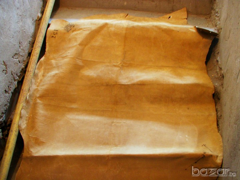 КОЖА,свински изохастар, снимка 1