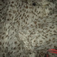 палто заек, снимка 5 - Палта, манта - 20003681