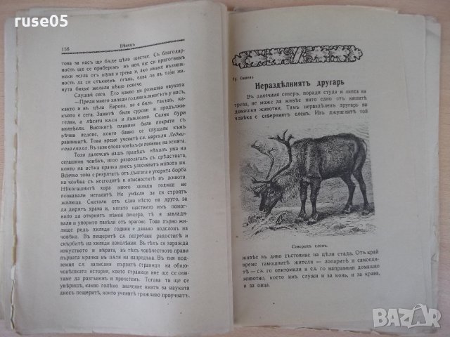 Списание "*Венецъ* - книжка III-декемврий 1934 г." - 64 стр., снимка 5 - Списания и комикси - 21817303