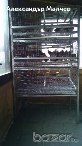 Клетки за пъдпъдъци и кокошки, снимка 10 - Кокошки и пуйки - 17328354