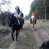 Конна езда Голямо Дряново,Казанлък, снимка 5 - Други спортове - 13686705