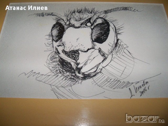 "Стършел - портрет" худ. Десислава Илиева, снимка 4 - Картини - 15945369