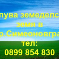 Наема и купува земеделска земя в гр.Симеоновград, снимка 2 - Земеделска земя - 13661012
