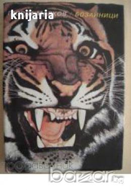 Бозаиници, снимка 1