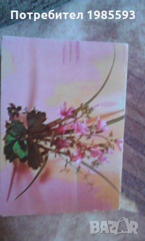 Ретро картички, снимка 4 - Колекции - 22963544