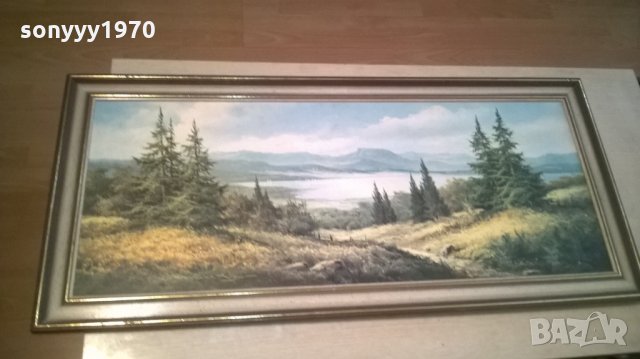 картина с рамка-внос швеицария-111х51см, снимка 2 - Колекции - 25516623