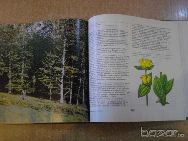 Книга "Биосферни резервати в България-С.Недялков" - 140 стр., снимка 4 - Специализирана литература - 7899584
