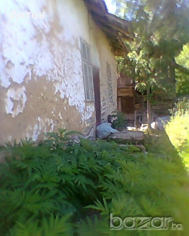 къща с двор в с Стакевци община Видин, снимка 4 - Къщи - 13418561