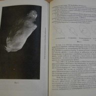 Книга ''Астрономически календар 1996 - В.Иванова" - 126 стр., снимка 3 - Специализирана литература - 8055950