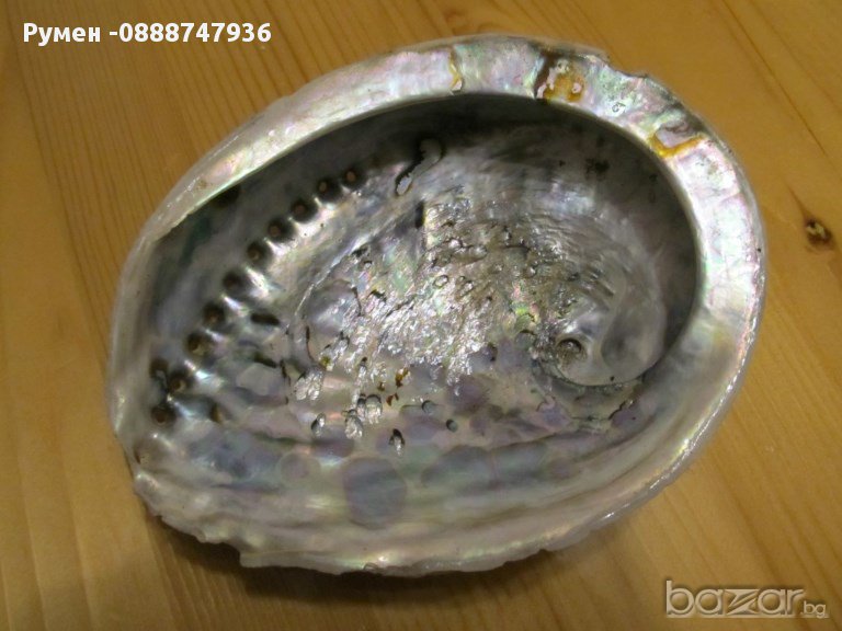 голяма перлена мида  - 16 см. - красота от природата !, снимка 1