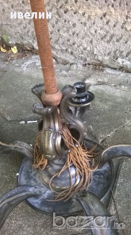 стар полилей-петица, снимка 3 - Полилеи - 15617222