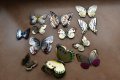 3D пеперуди за декорация с двойни крила СВЕТЕЩИ, снимка 9