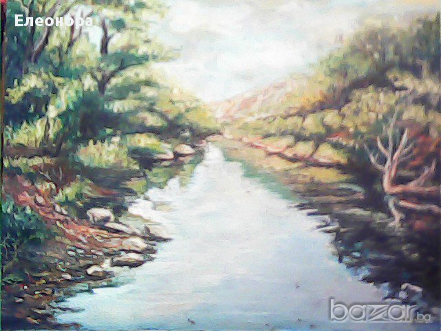 картина,,ропотамо'', снимка 1