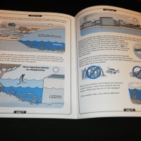 The Indian River Lagoon Activity Book , снимка 4 - Детски книжки - 23431535