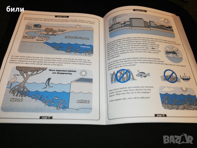 The Indian River Lagoon Activity Book , снимка 4 - Детски книжки - 23431535