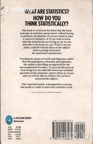 Statistics Without Tears / Derek Rownt, снимка 2 - Други - 23978485