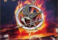 Брошка от Игрите на глада 1 Сойка присмехулка Hunger Games Mockingjay, цвят бронз, сребро или злато, снимка 3