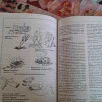 Книга за риболов, снимка 3 - Други - 24364780