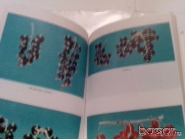 ягодоплодните култури в нашата градина-от земиздат, снимка 13 - Художествена литература - 9668997