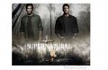 😈🪄Supernatural колие с глава с рога - Окултна - Дийн носи такава, снимка 5