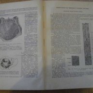 Книга "Акушерство - проф.И.Щъркалев/проф.Л.Ламбрев"-628 стр., снимка 7 - Специализирана литература - 7783813