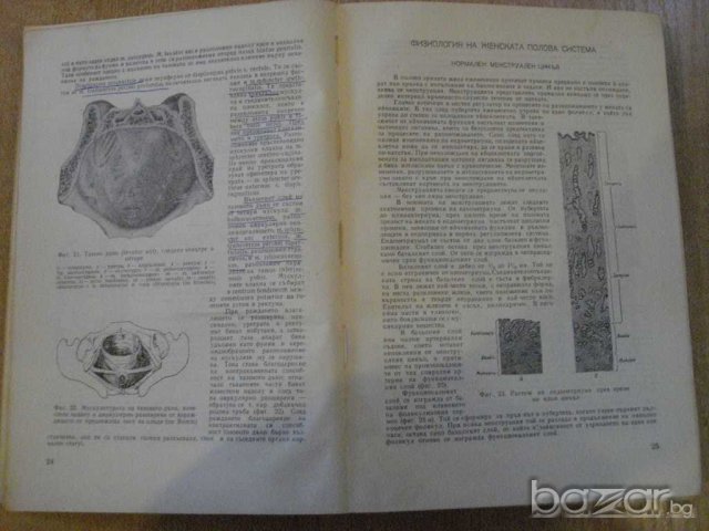 Книга "Акушерство - проф.И.Щъркалев/проф.Л.Ламбрев"-628 стр., снимка 7 - Специализирана литература - 7783813