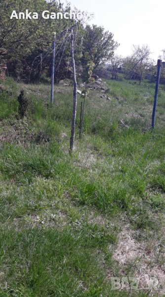 Адвокат  по делата  с имоти, снимка 1