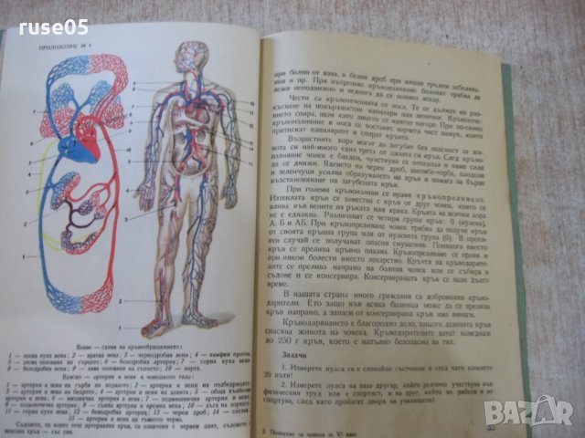 Книга "Познания за човека - Р.Косев / С.Виларова" - 84 стр., снимка 5 - Учебници, учебни тетрадки - 24540304