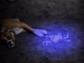 🔝 9-LED или 21-LED UV ултравиолетово фенерче ултравиолетов фенер , снимка 9