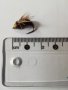 Изкуствени мухи, скакалци, бръмбари и ларви, снимка 14