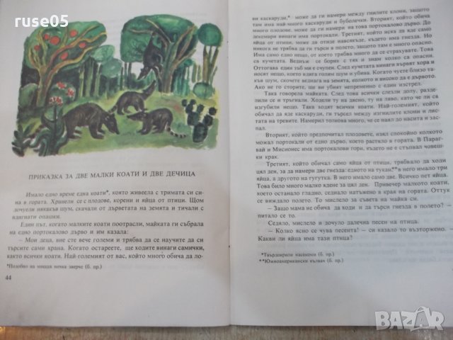 Книга "Приказки от тропическата гора-Орасио Кирога"-64 стр., снимка 5 - Детски книжки - 25469002
