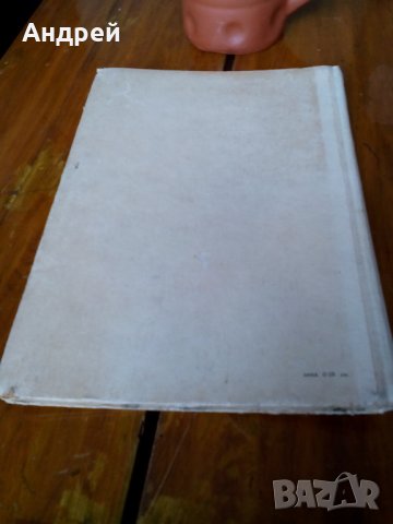 Книга Индже, снимка 4 - Художествена литература - 23914079